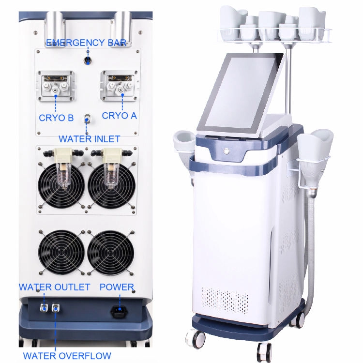 Cryolipolysis fat freezing machine, front and rear views. - HUIMAIN