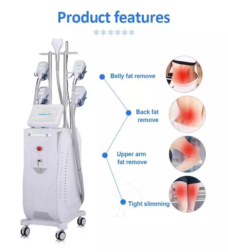 Fat Reduction Machine and Targeted Treatment Areas. - HUIMAIN