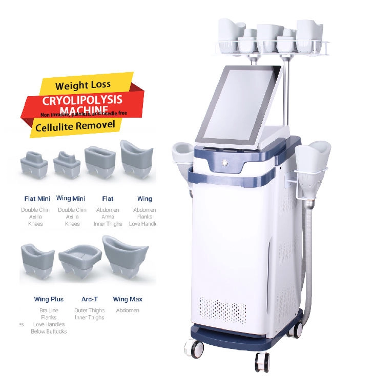 Cryolipolysis machine for weight loss and cellulite removal with various applicator heads. - HUIMAIN