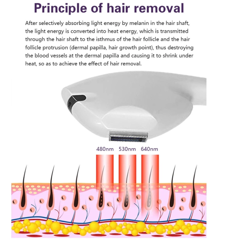 H3d637ab2fc0240299a070cc98b09e567q - HUIMAIN